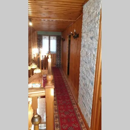 Chalet Authentique Vue Sur Le Et Les Pistes Besse-et-Saint-Anastaise